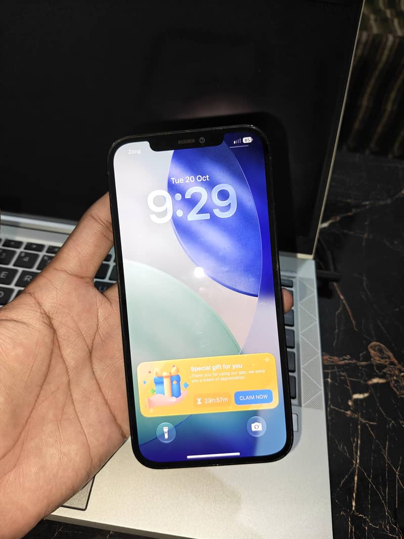 Apple iPhone 12 Pro Max 1