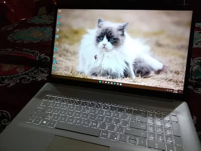 11th Gen. 16 GB DDR , 256 NVMe , 17.3 Inches Displayy. . .