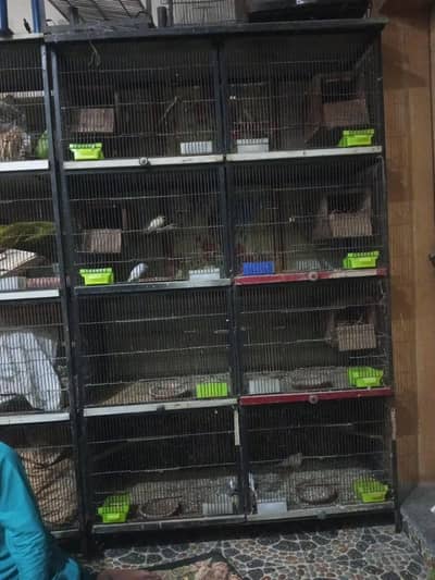 Cages for sale
