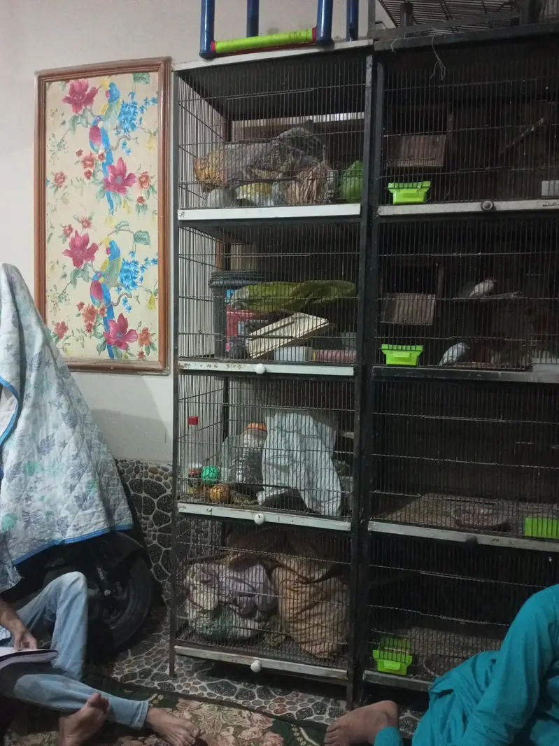 Cages for sale — photo 2
