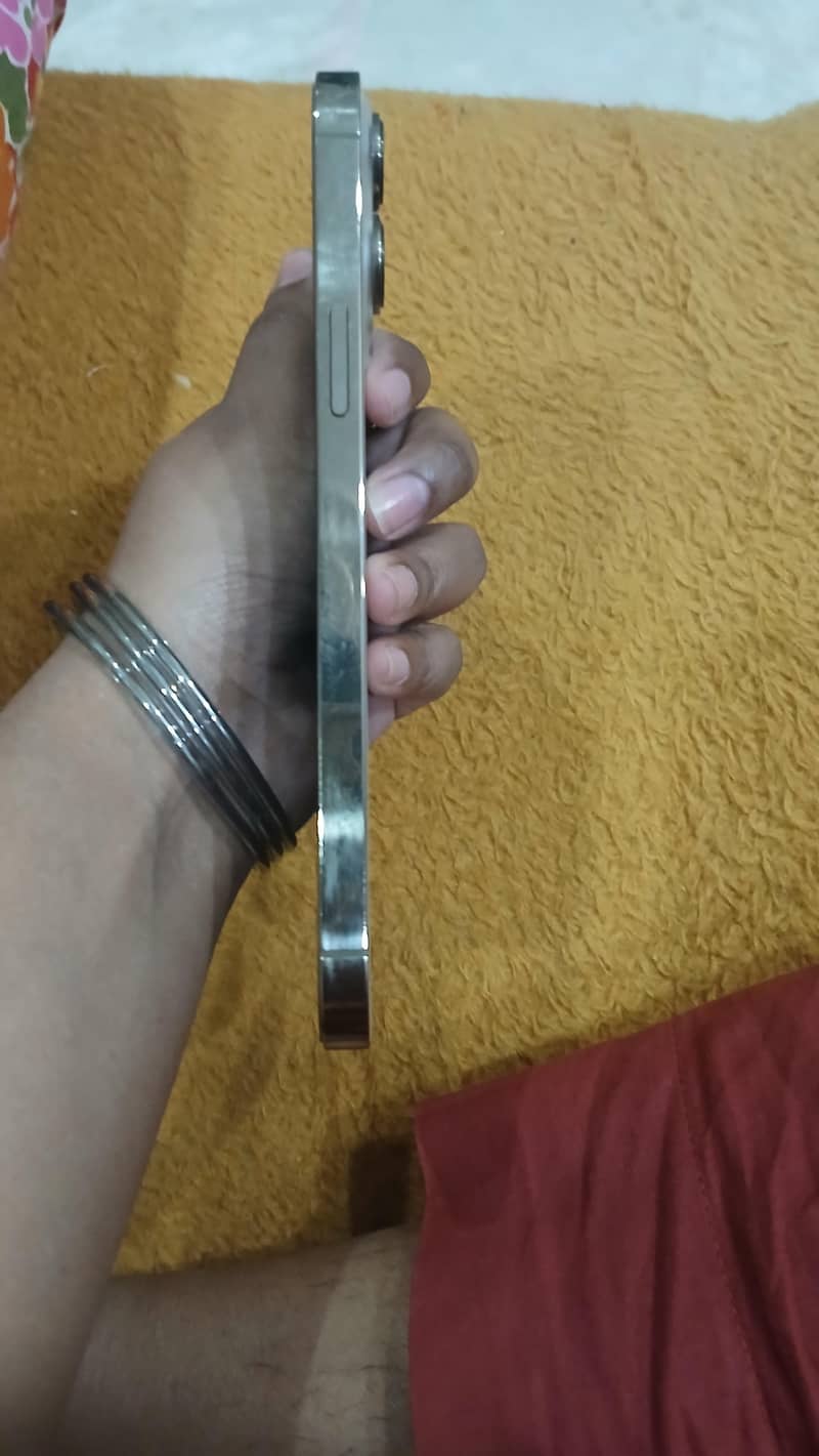 Apple iPhone 13 Pro Max 2