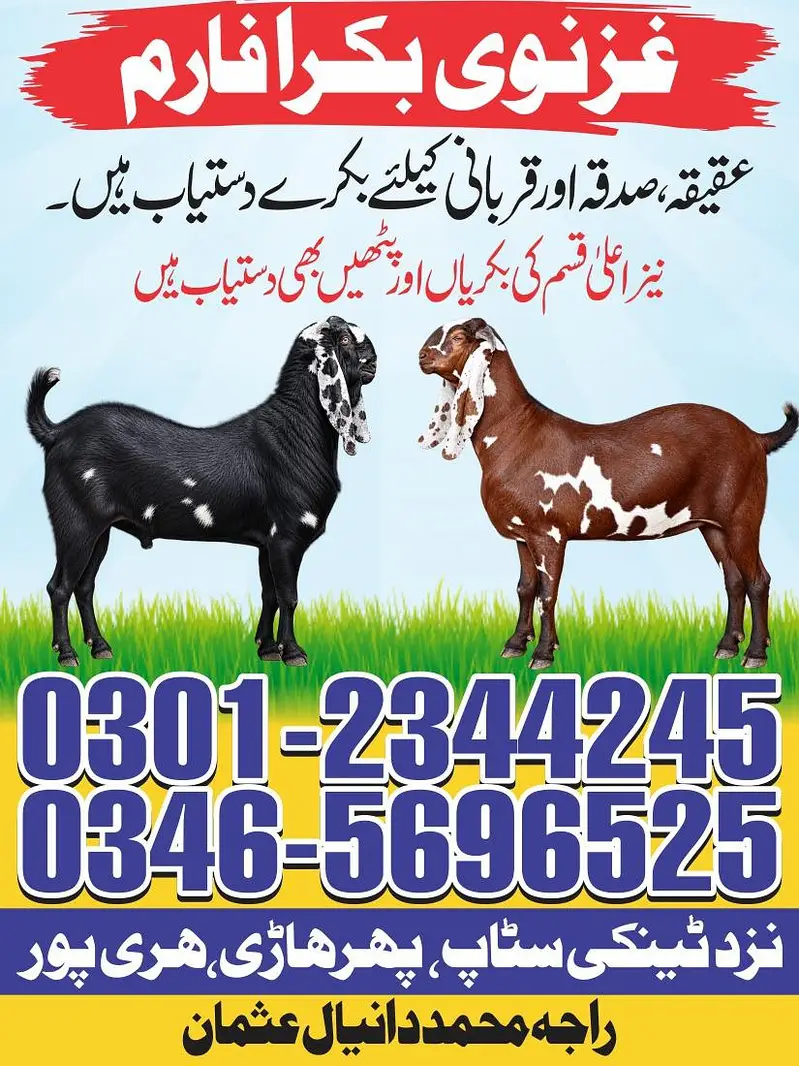 bakry for sale