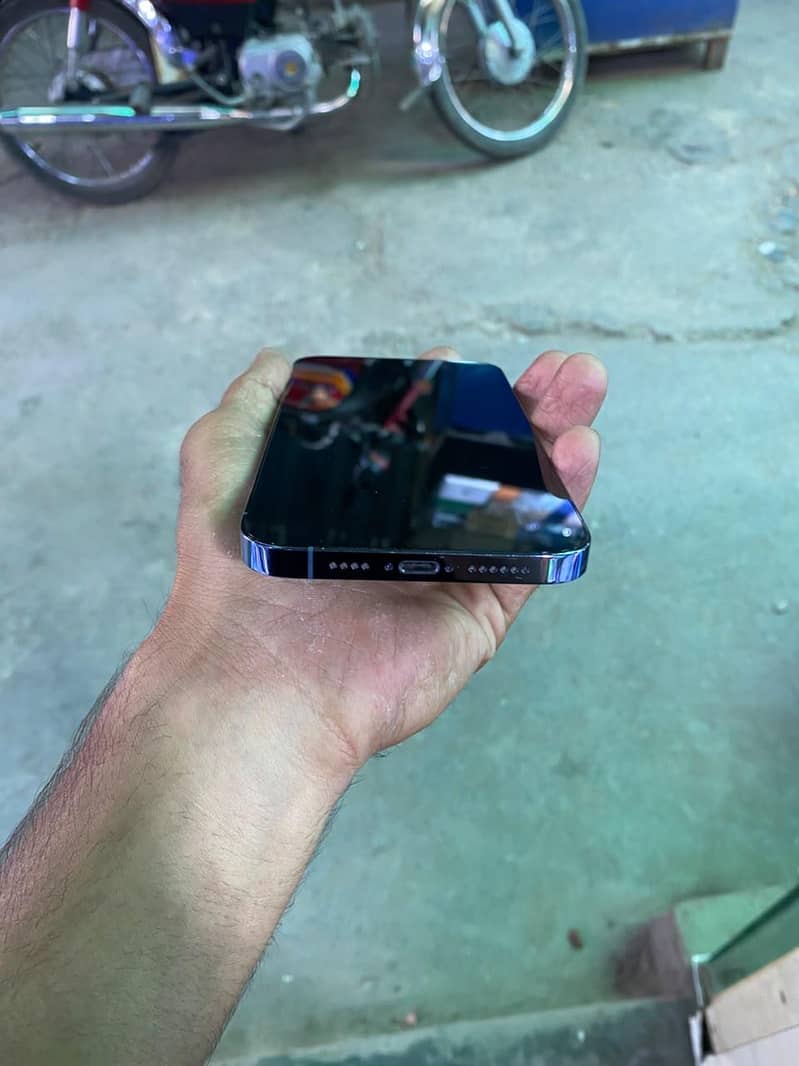 Apple iPhone 13 Pro Max 1