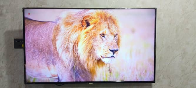 LED For Sale 55" inch