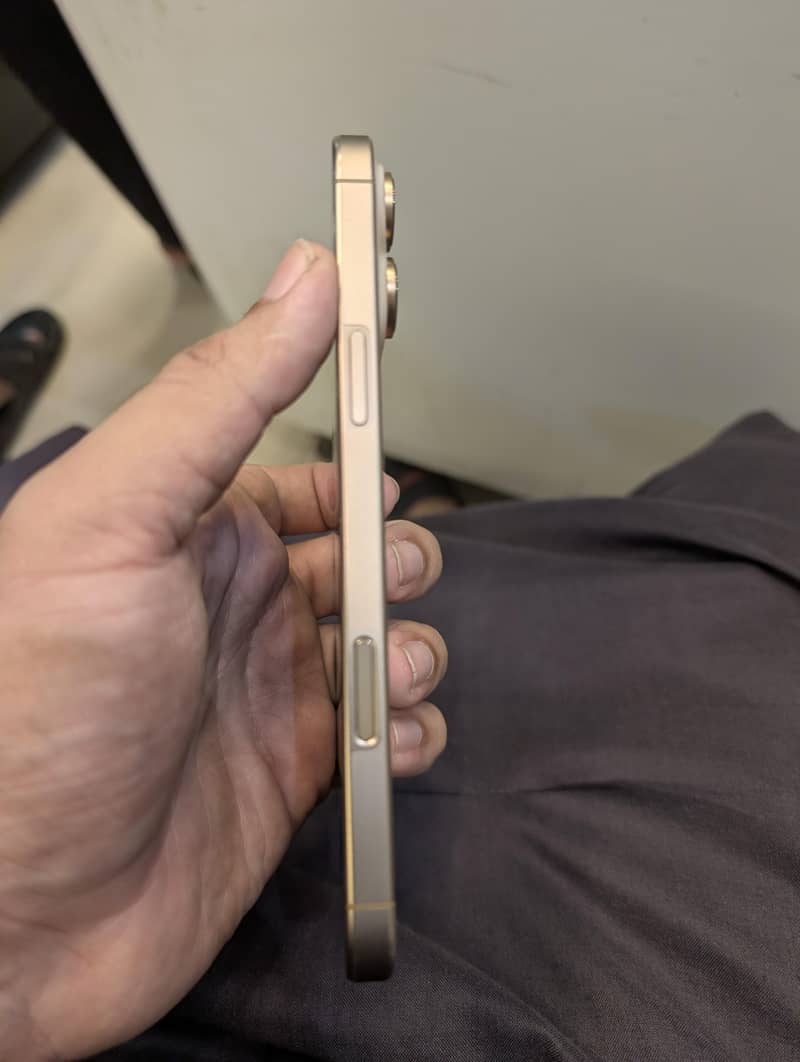 Apple iPhone 16 Pro Max 1