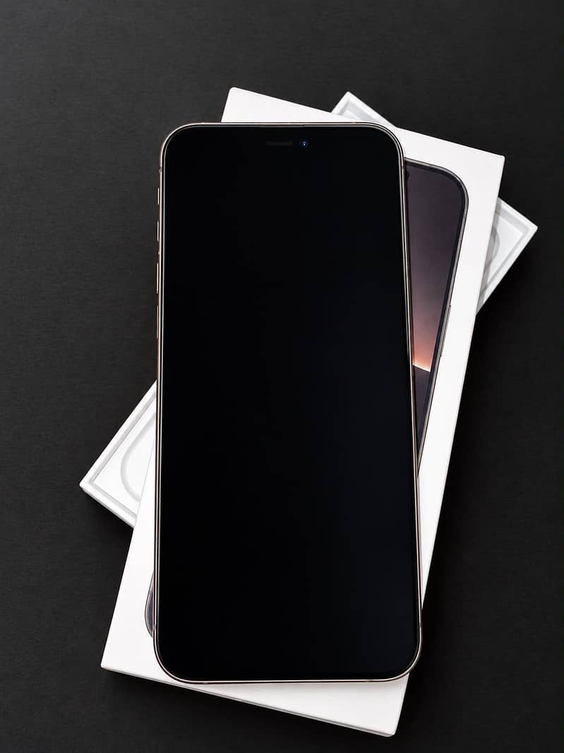 Apple iPhone 16 Pro Max 1