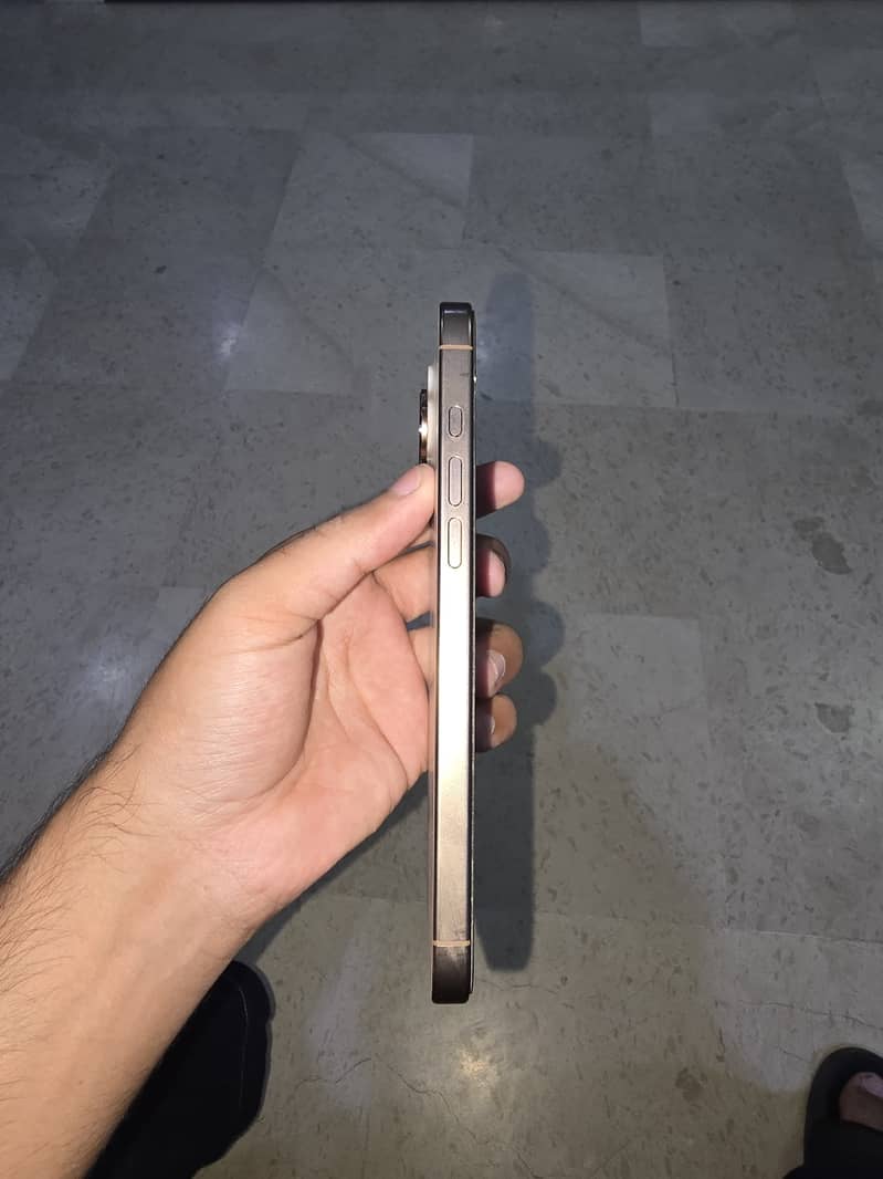 Apple iPhone 16 Pro Max 2