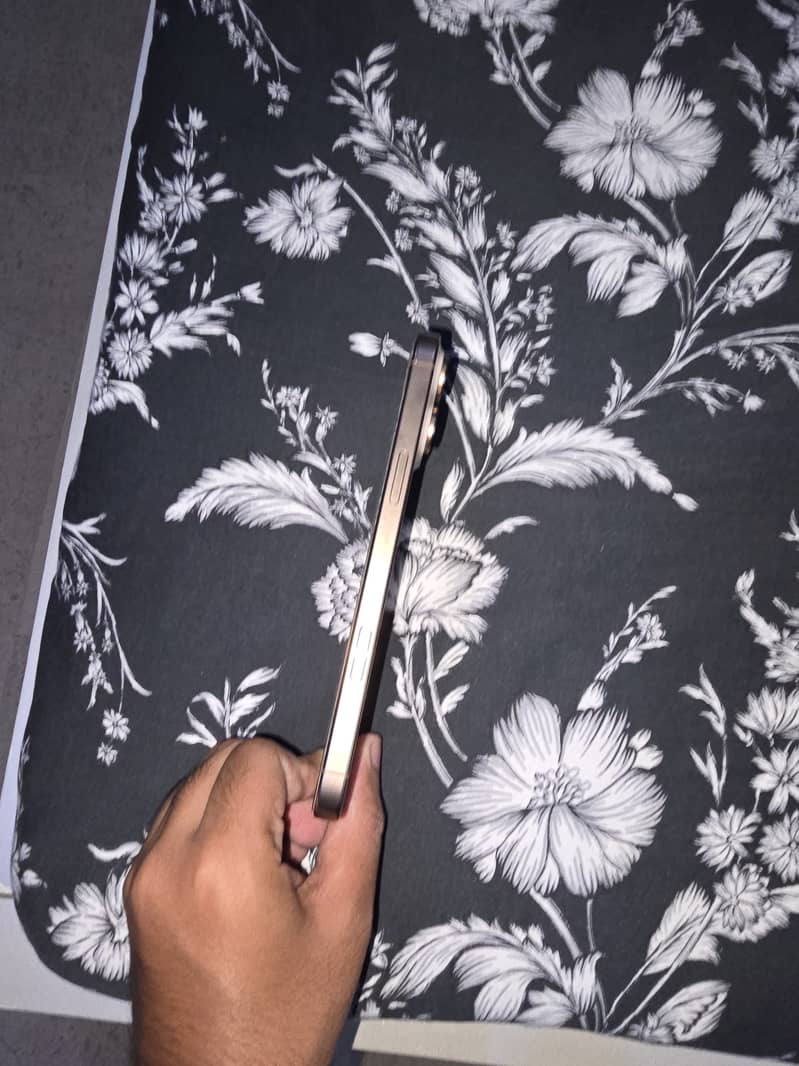 Apple iPhone 16 Pro Max 5