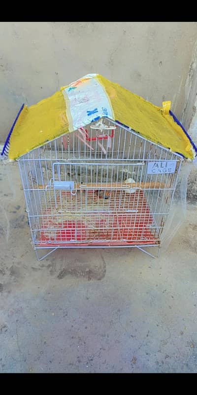 Zebra finch Pair with cage