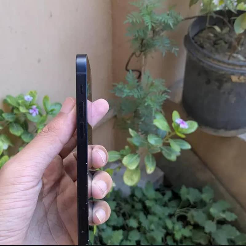 Apple iPhone 12 1