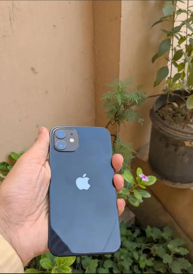 Apple iPhone 12 2