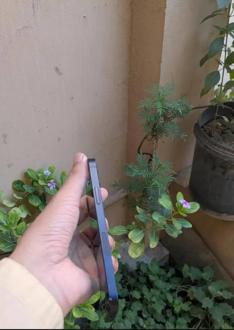 Apple iPhone 12 3