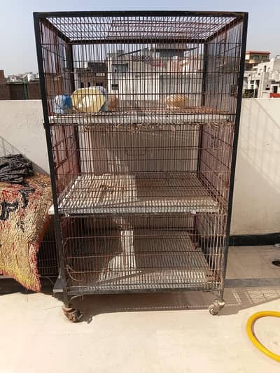 cages for birds hen rabbits and small animals