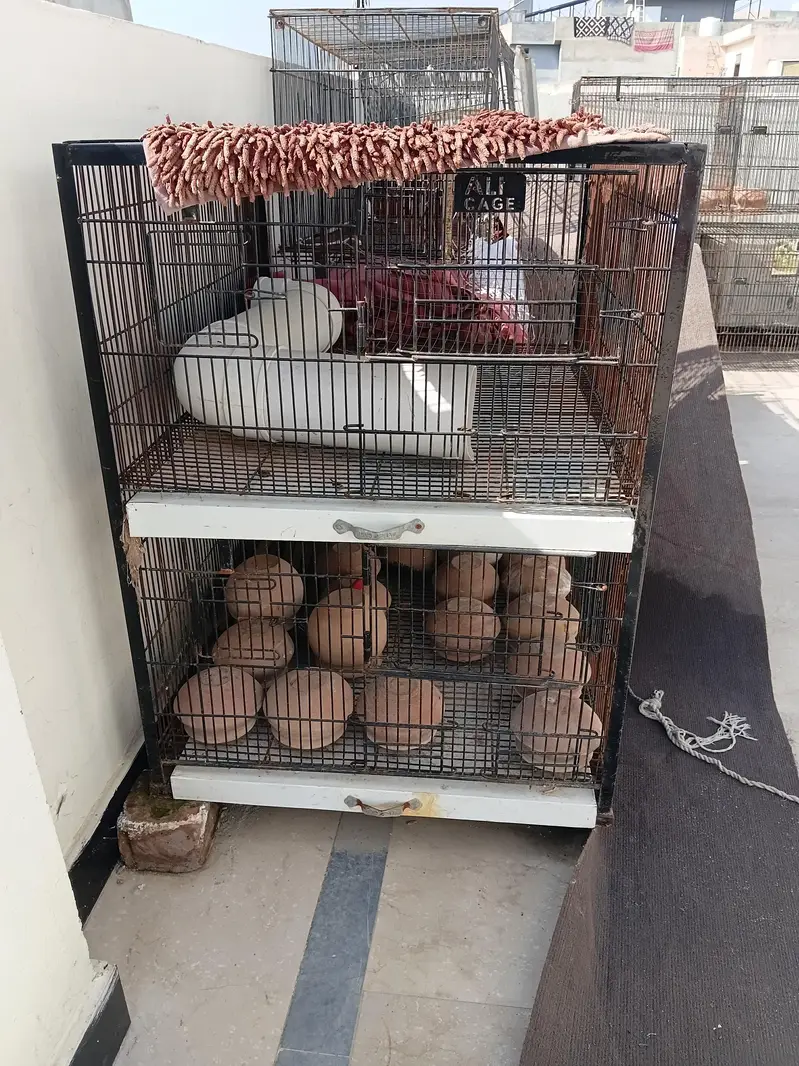 cages for birds hen rabbits and small animals — photo 2