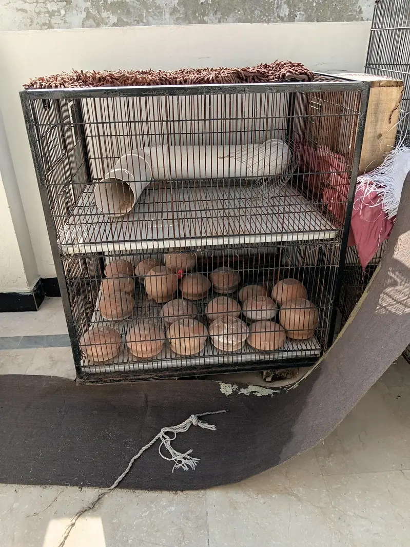 cages for birds hen rabbits and small animals — photo 3