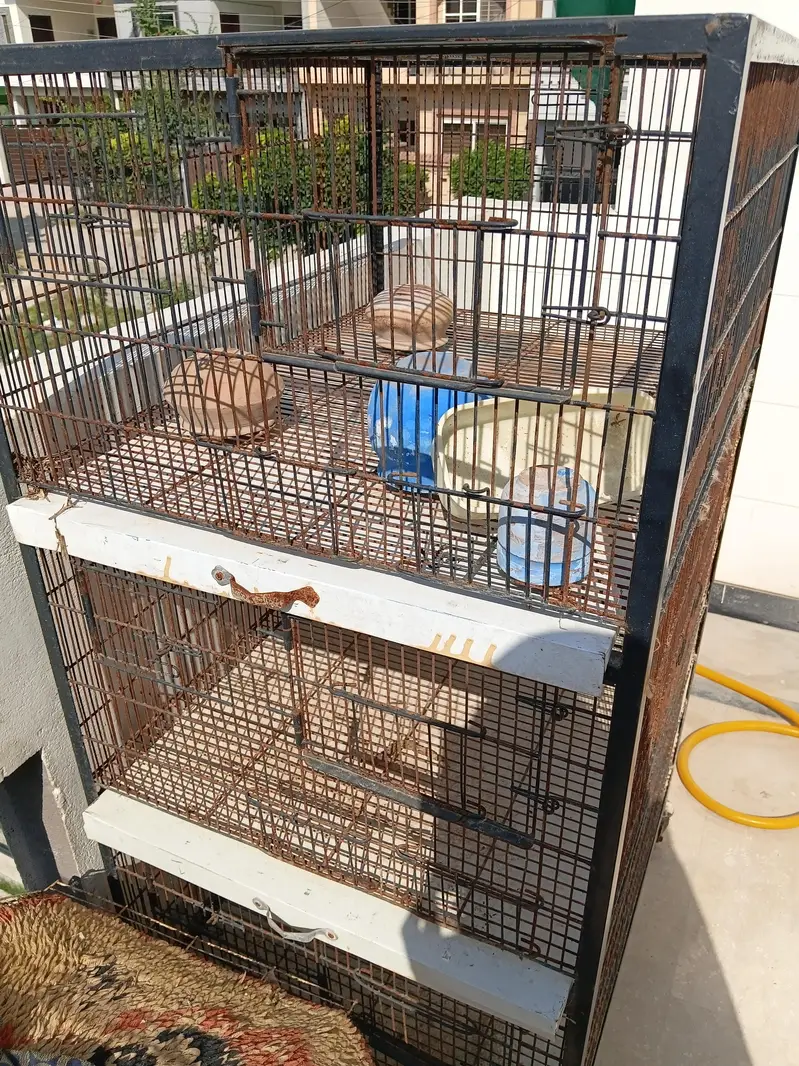 cages for birds hen rabbits and small animals — photo 4