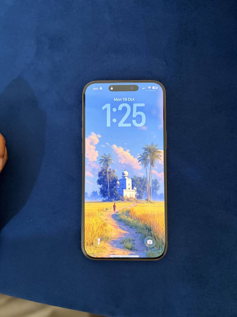 Apple iPhone 16 Pro Max 6