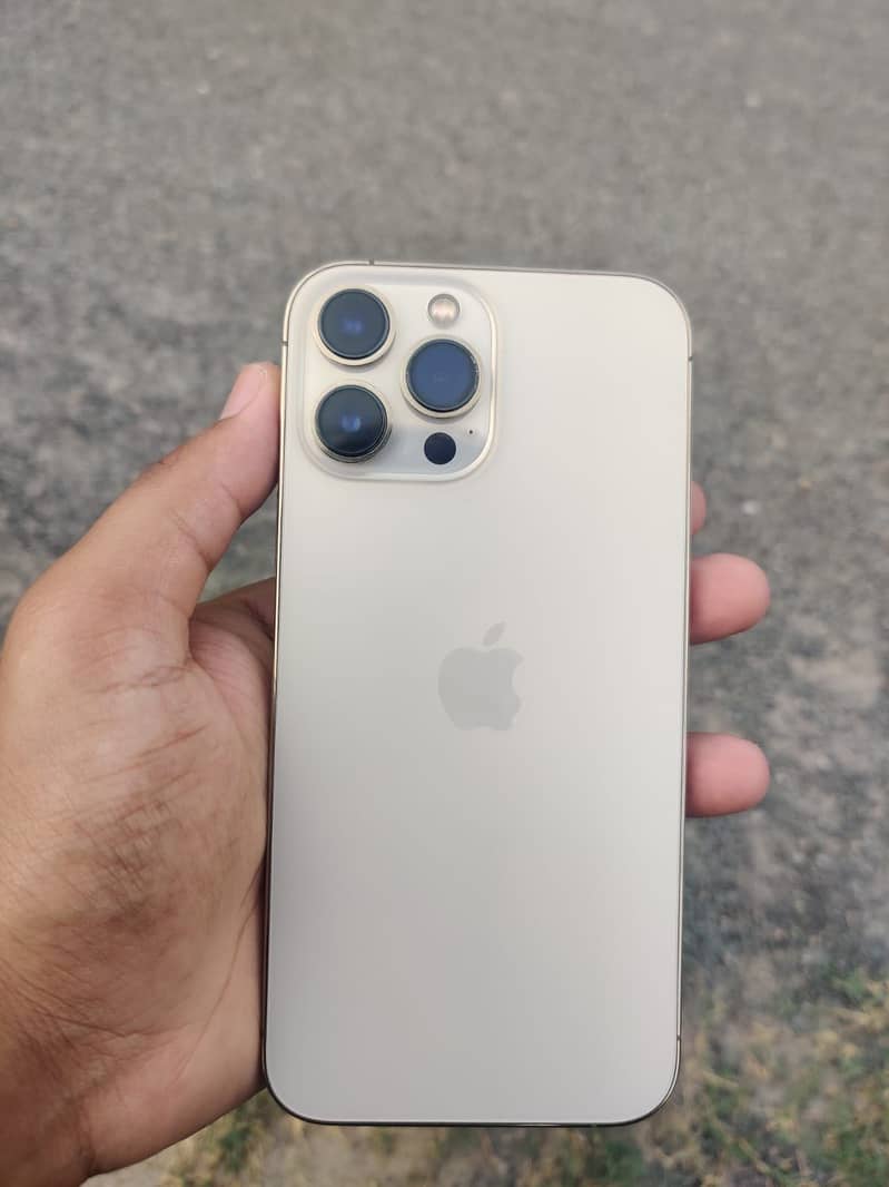 Apple iPhone 13 Pro Max 1