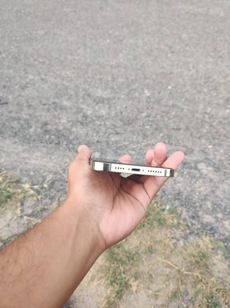 Apple iPhone 13 Pro Max 2