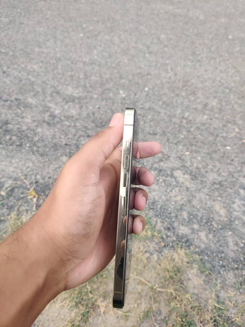 Apple iPhone 13 Pro Max 3