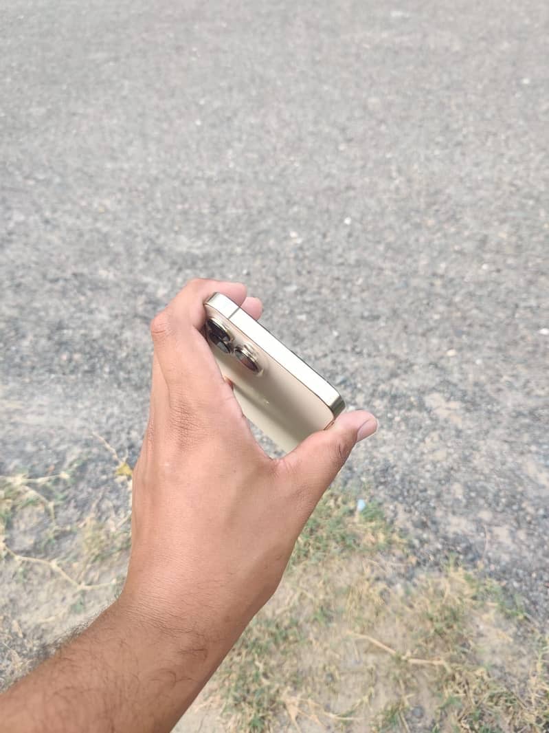 Apple iPhone 13 Pro Max 6