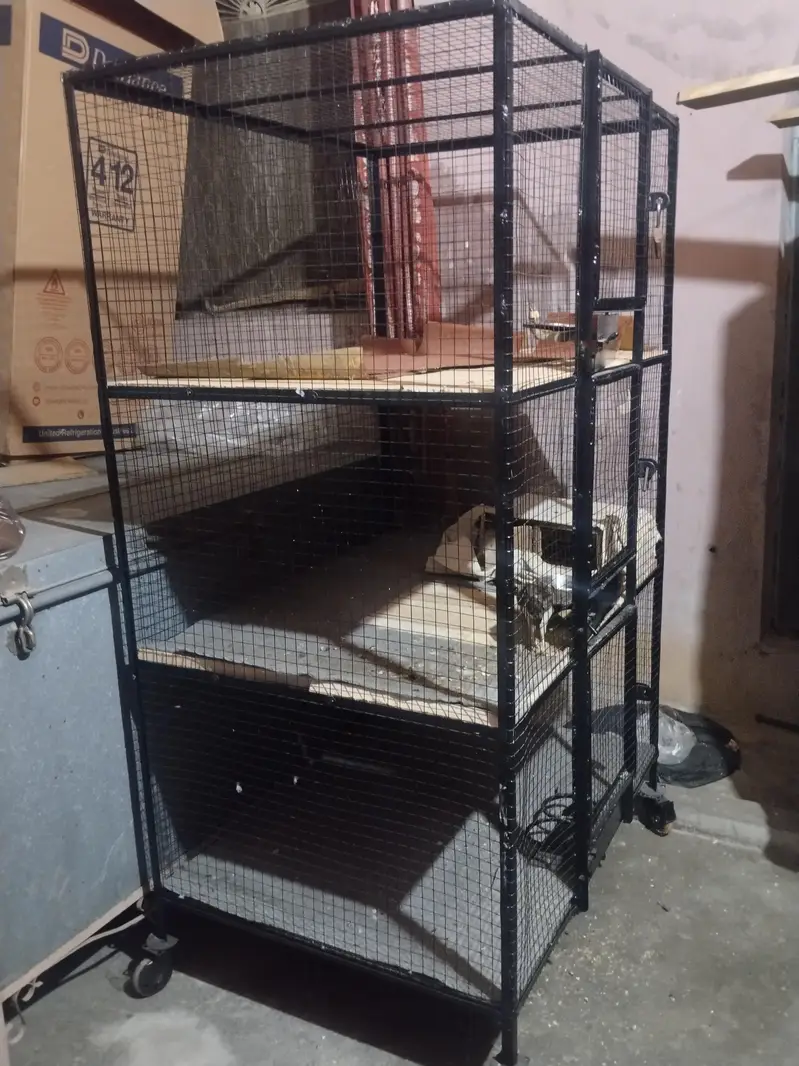 6 fit uncha 4 fit chorra 3 fit ghra ik tower — photo 2
