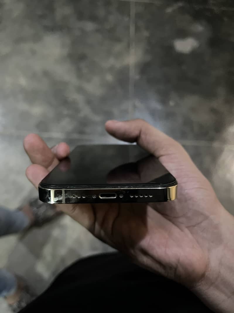 Apple iPhone 13 Pro 1