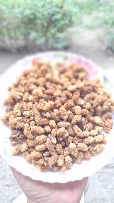 dry mulberry