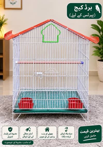 bird , parrot cage