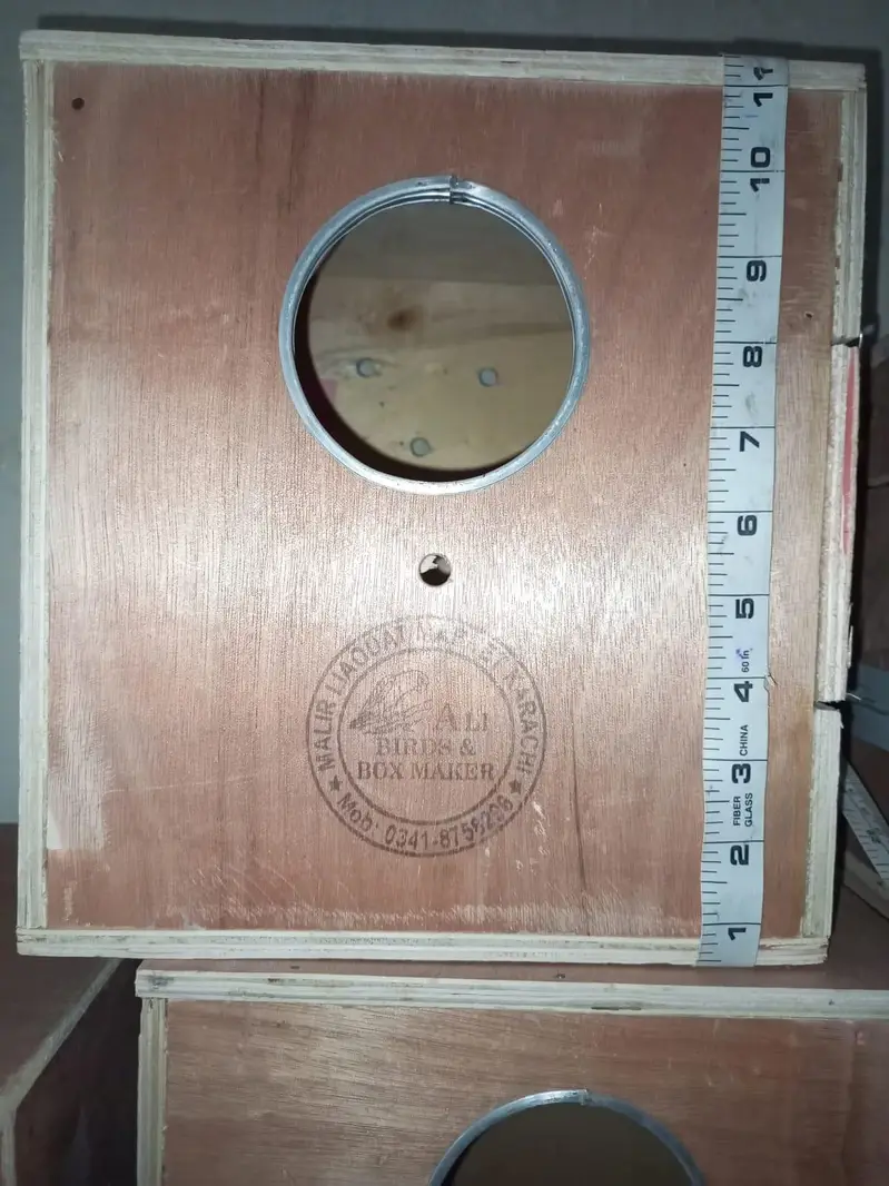 Cocktail & Lovebirds imported ply breeding box — photo 5