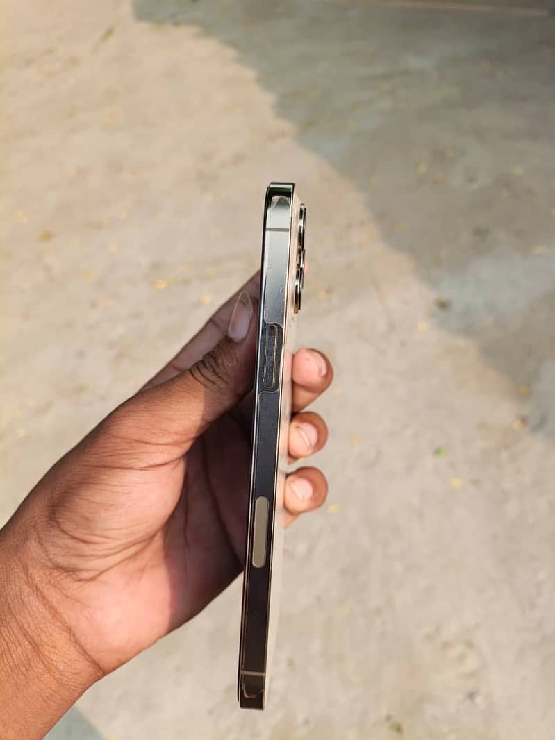 Apple iPhone 13 Pro Max 1