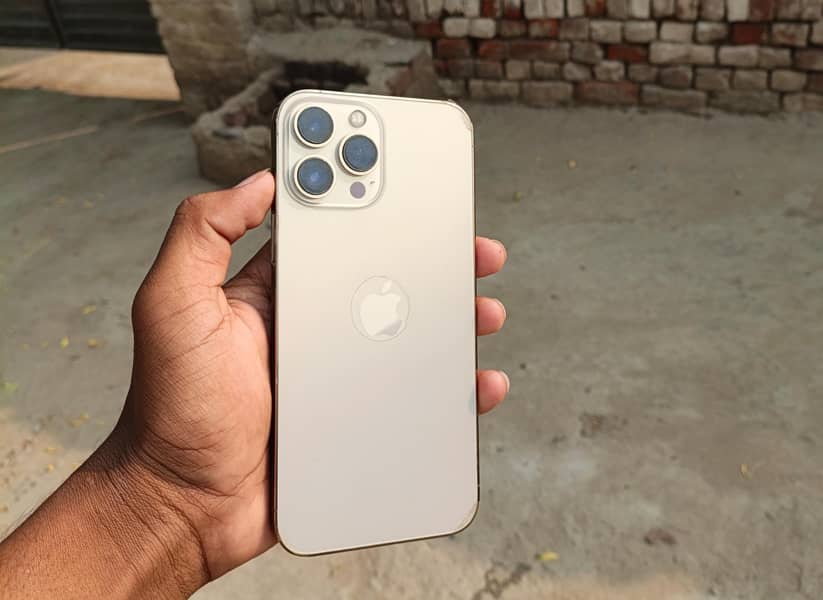 Apple iPhone 13 Pro Max 2
