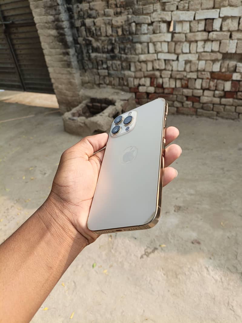 Apple iPhone 13 Pro Max 4