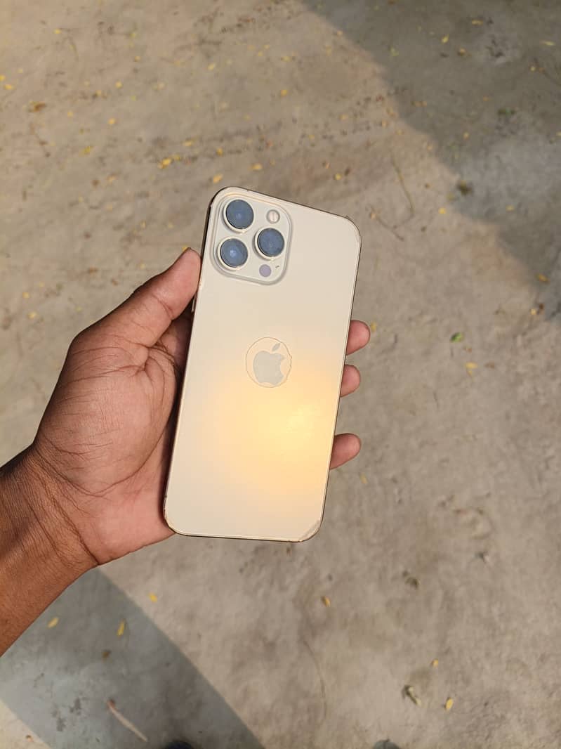 Apple iPhone 13 Pro Max 6