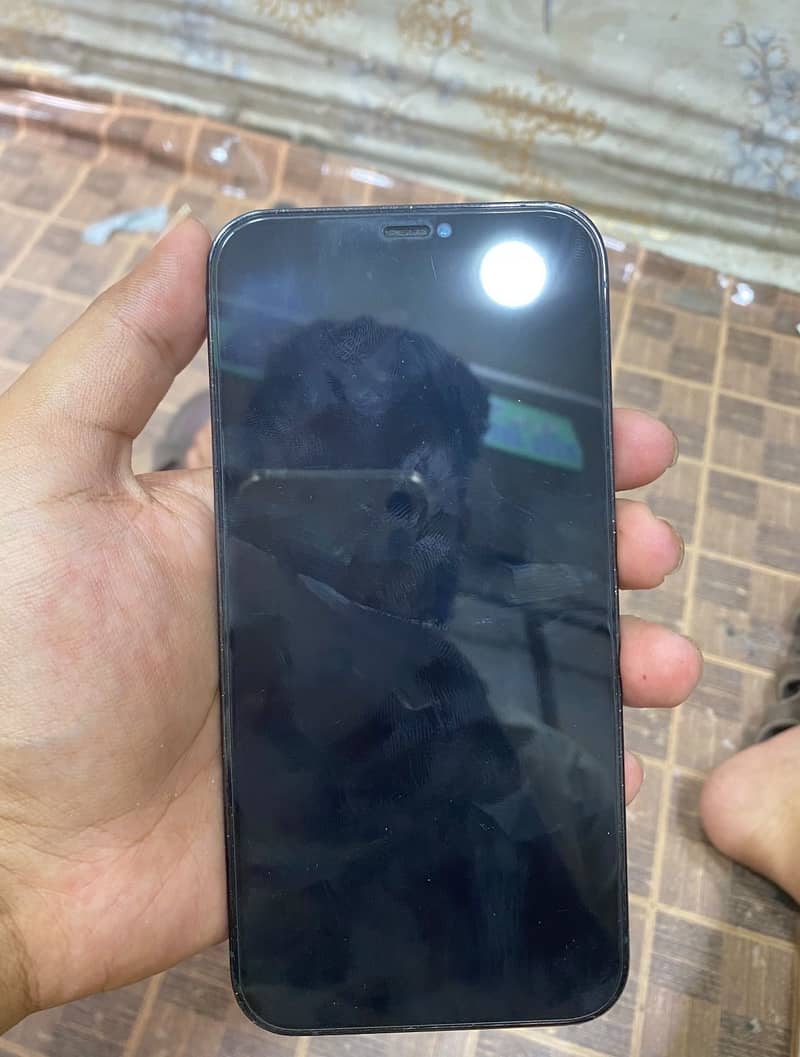 Apple iPhone 12 Pro Max 1