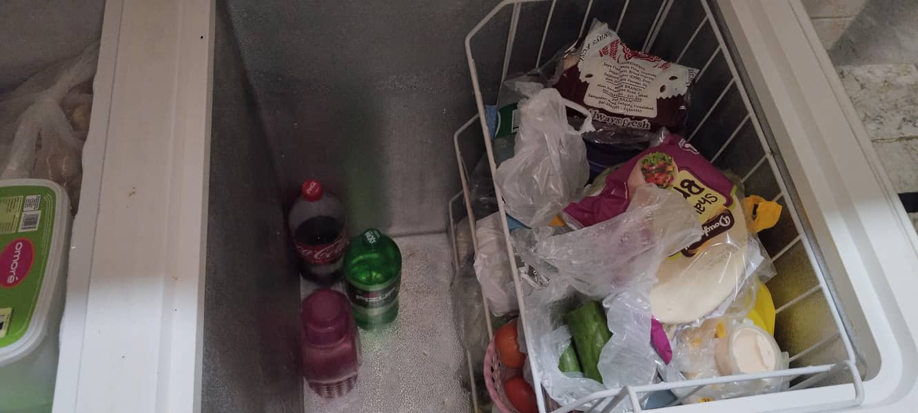 two door waves freezer 4