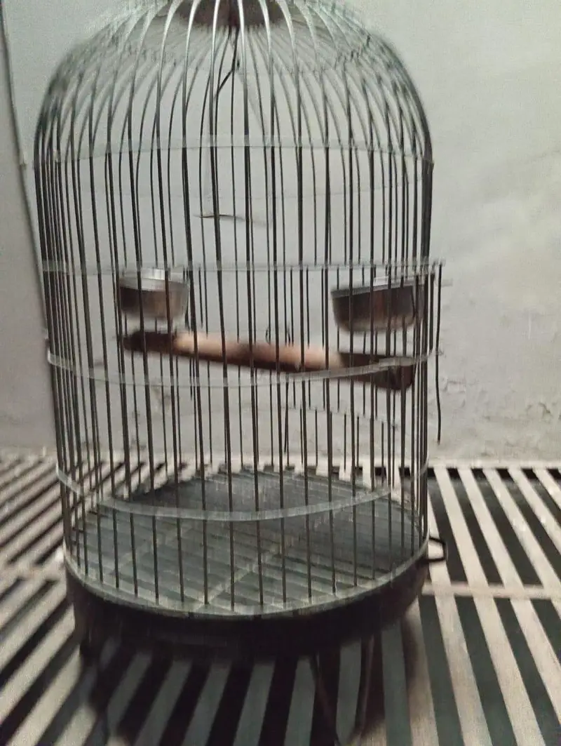 Rakh parrot cage fully fresh condition — photo 3