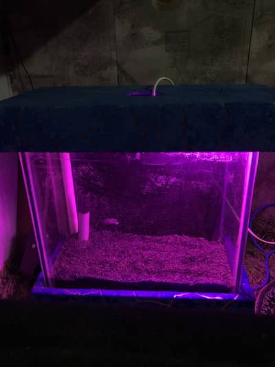Aquarium