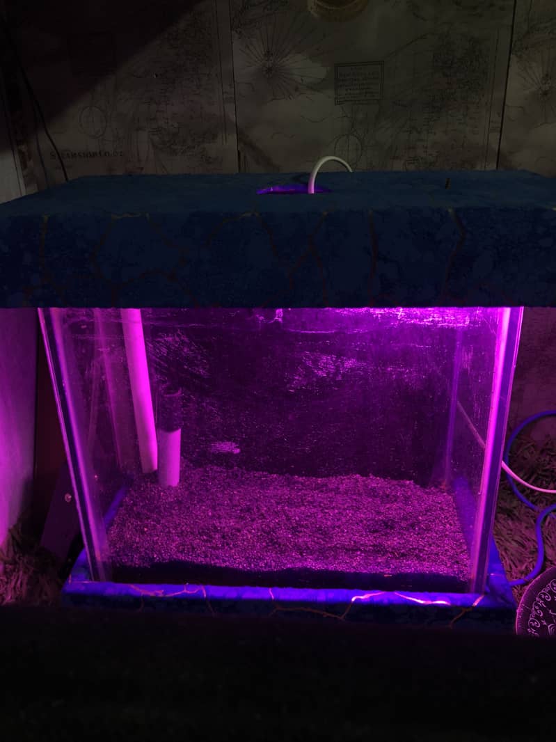 Aquarium 0