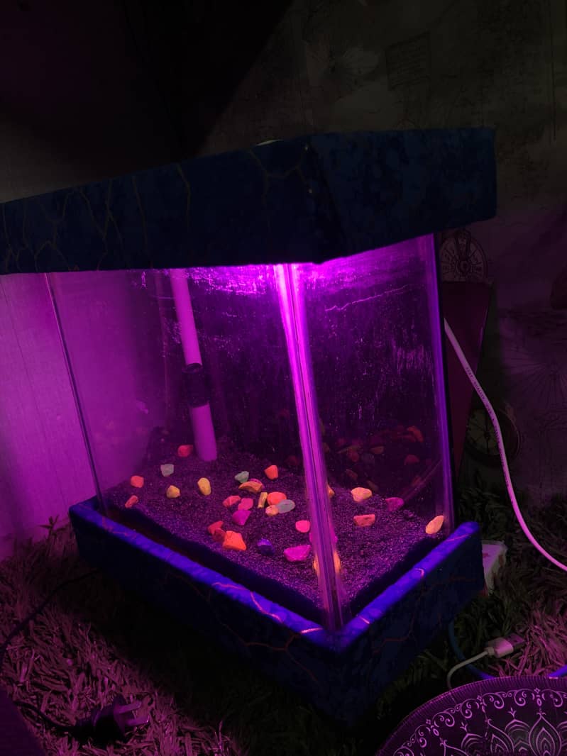 Aquarium 1