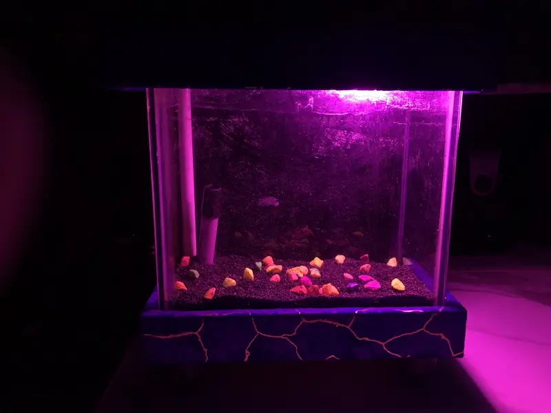 Aquarium — photo 4