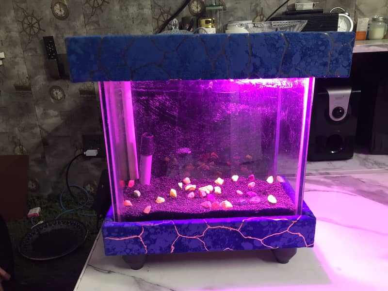 Aquarium 4