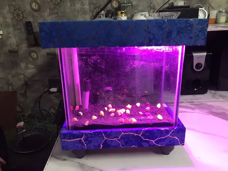 Aquarium — photo 5