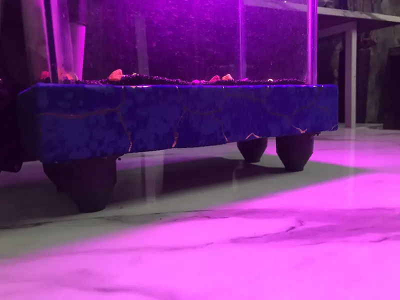 Aquarium — photo 6