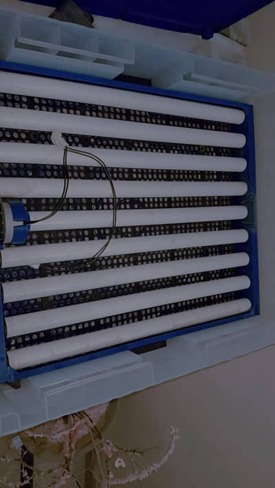 70 eggs incubator