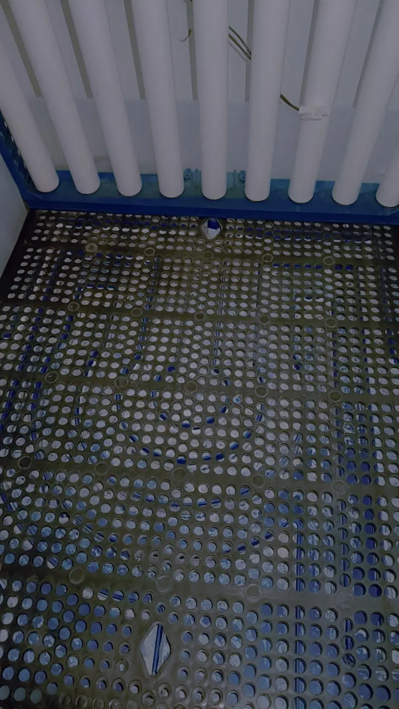 70 eggs incubator — photo 3