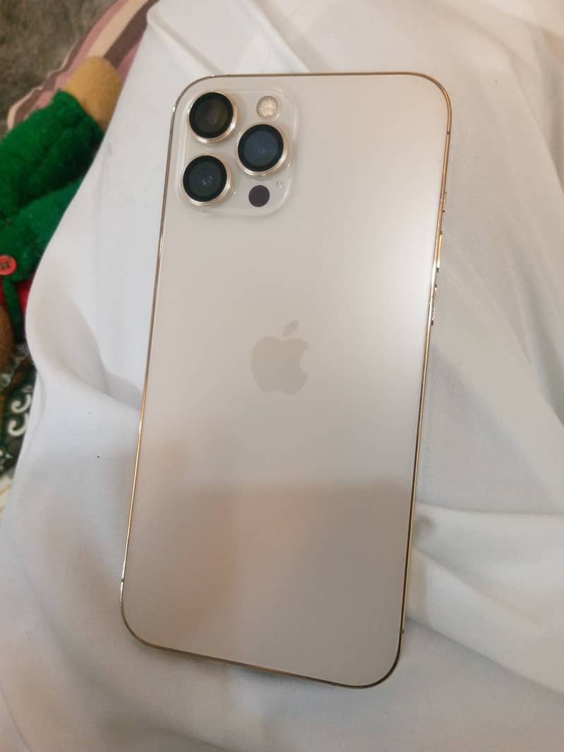 Apple iPhone 12 Pro Max 0