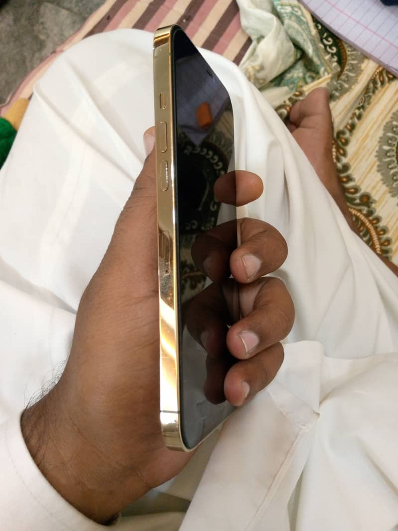 Apple iPhone 12 Pro Max 1