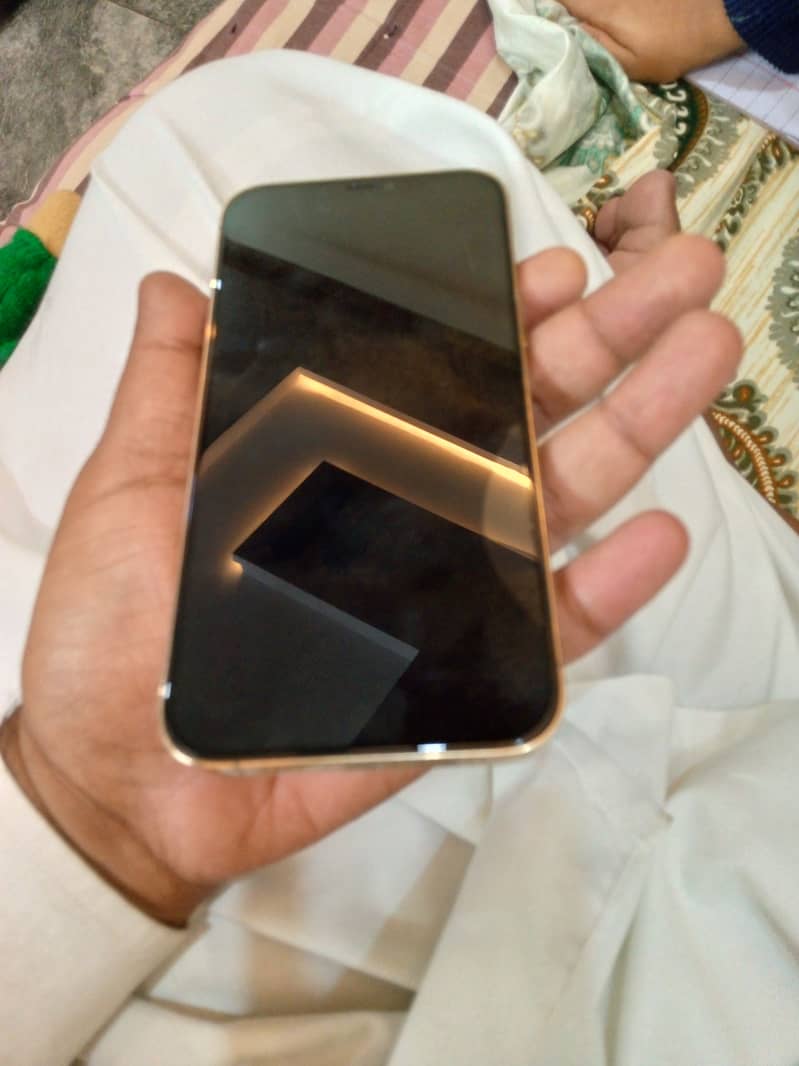 Apple iPhone 12 Pro Max 2