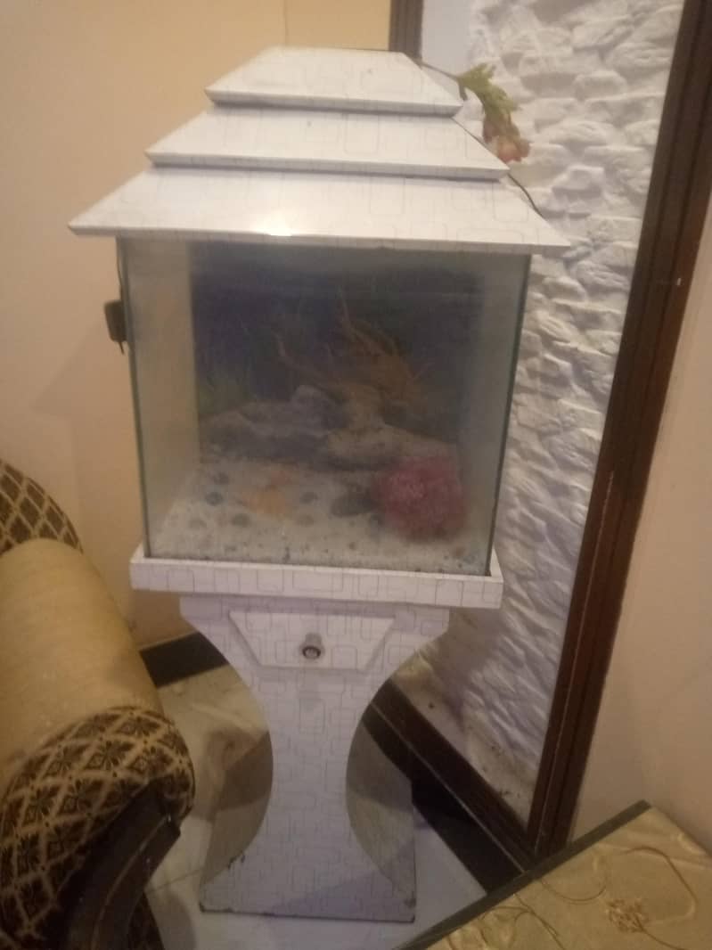 fish aquarium 0